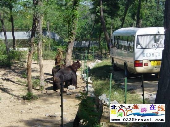 秦皇島野生動物園