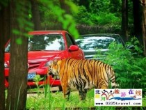秦皇島野生動物園景點門票優(yōu)惠88元起團，一人也成團，團隊更優(yōu)惠，咨詢電話0335-3522599: