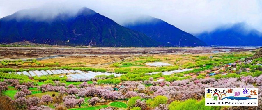 西藏林芝桃花節(jié)及布達(dá)拉宮大昭寺攻略