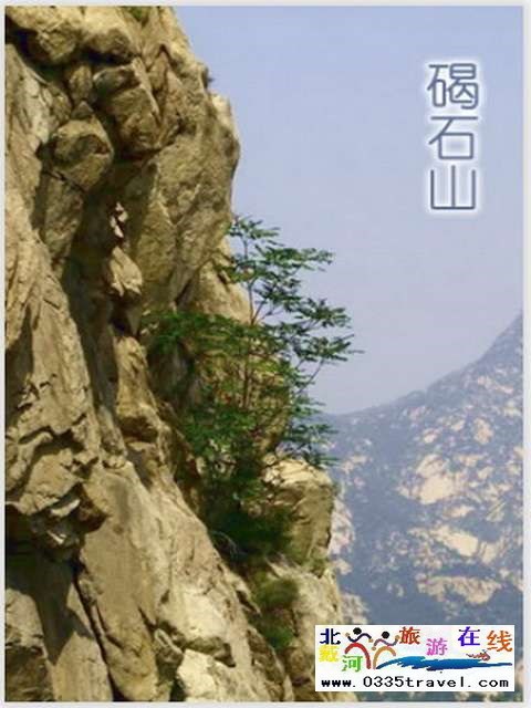 秦皇島一卡通旅游年票優(yōu)惠辦理電話0335-3522588 3522599 13191824199